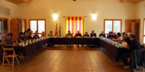 consell-alcaldes
