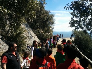 Abracem Queralt 1