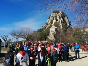 Abracem Queralt 11