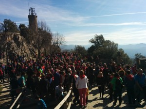 Abracem Queralt 12