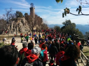 Abracem Queralt 2