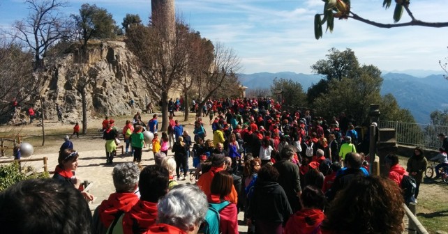 Abracem Queralt 2