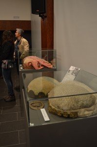 expo gegants patum2016 (11)b