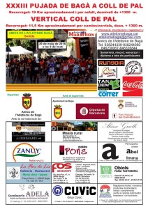 pujada de Bagà a Coll de Pal Publicar web
