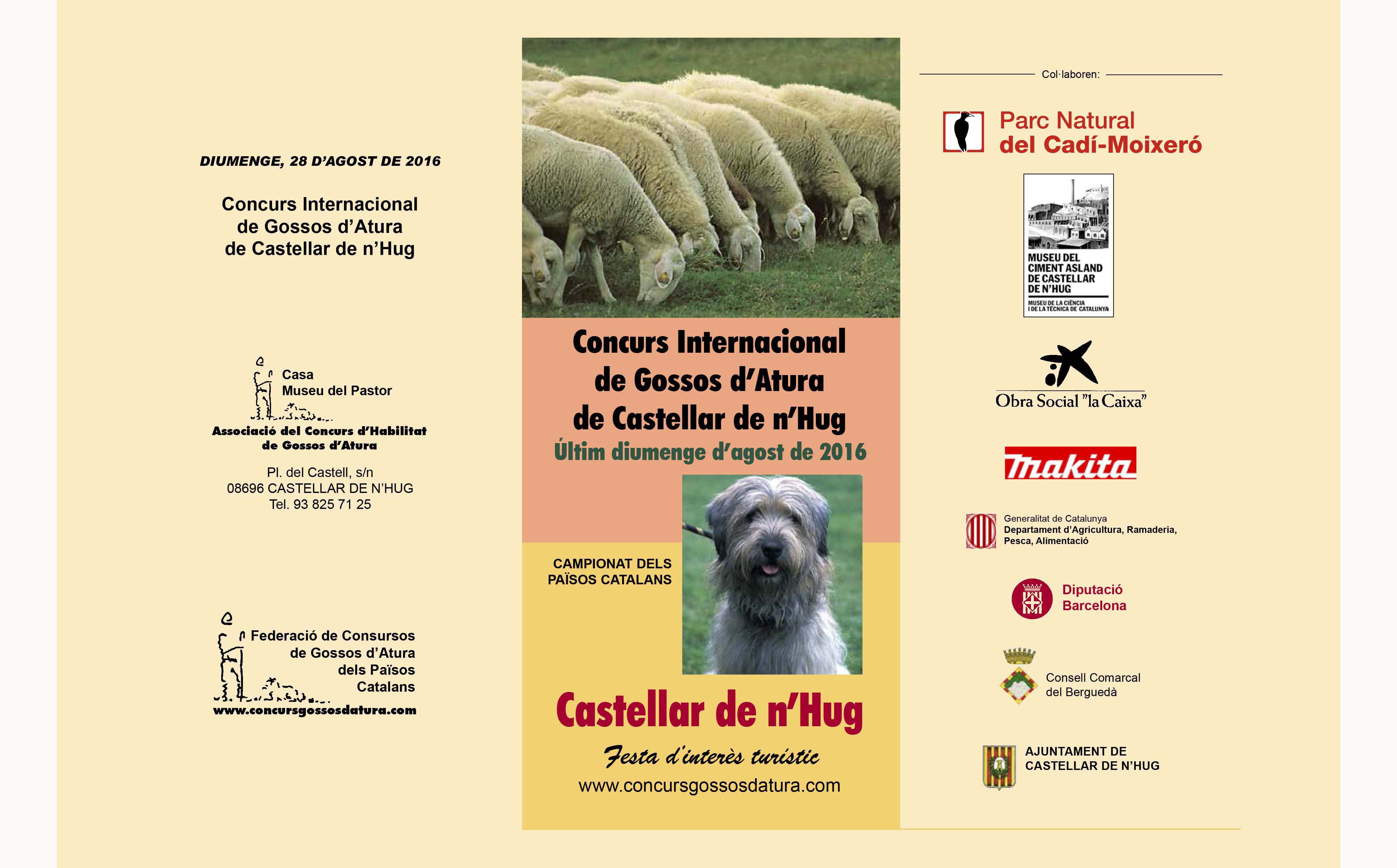 portada gossos castellar