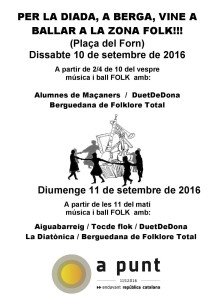 actuacio-folk-11