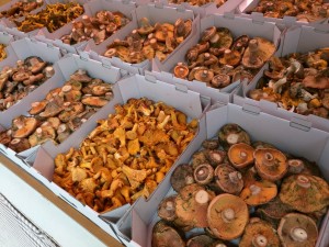 mercat-bolet-cal-rosal-2016-2