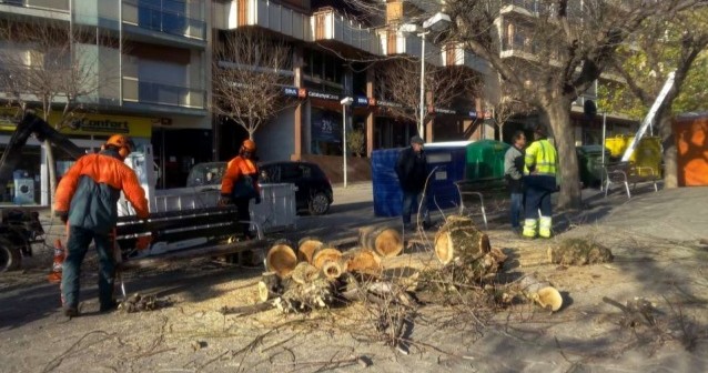 campanya-de-plantaci-darbrat-2017-berga-4-638