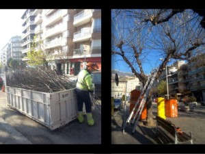 campanya-de-plantaci-darbrat-2017-berga-5-638