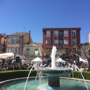 17818364_414448905602360_4800656831330385920_n