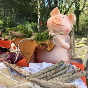 17819295_1846792455538153_1672290841487474688_n