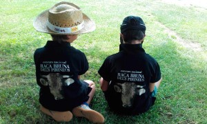 BERGUEDA_FEDERACIO DE VACA BRUNA(3)