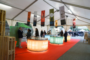 DSC03158__©fotoluigi