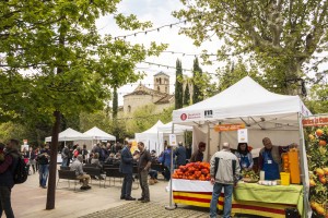 Món St Benet- Festa Alicia't 2016