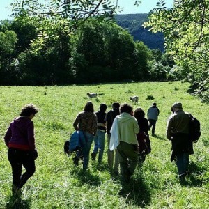 benvinguts a pagès 2