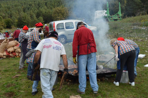 CONCURS-BOLETS-30
