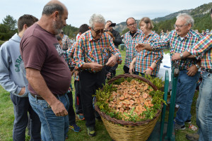CONCURS-BOLETS-57