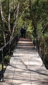 whatsapp-image-2017-11-08-at-190343_38272306602_o