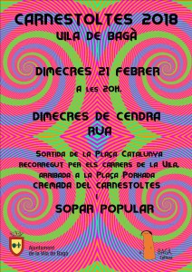 carnaval bagà 4
