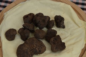 fira tòfona 2016 (5)