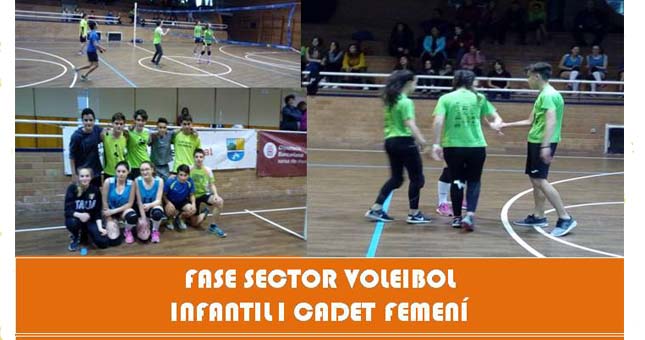 PORT voleibol berguedà