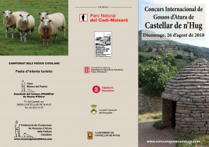 FulletÃ³ versiÃ³ 07_07.pdf