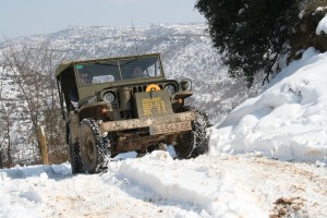 IMG_1295