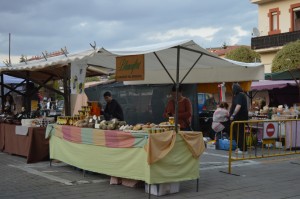 fira sant josep gironella 2017 (41)