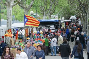 firamaigberga luigi (5)