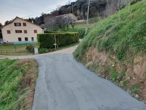 Foto arranjament camí de Noet 2
