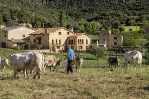 Josep Altarriba. Explotació de vedella ecològica Salt del Colom. Al fons, la casa de turisme rural Salt del Colom. L’Espunyola, el Berguedà, Barcelona