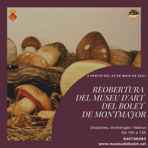 Reobertura Muse Bolet