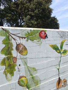 WhatsApp Image 2024-11-13 at 17.10.15