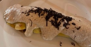 Caça1