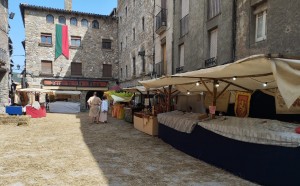 Francesc Cisa (1)