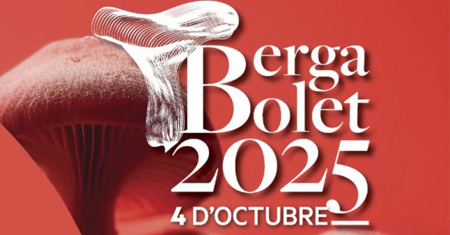 PORTbergabolet25