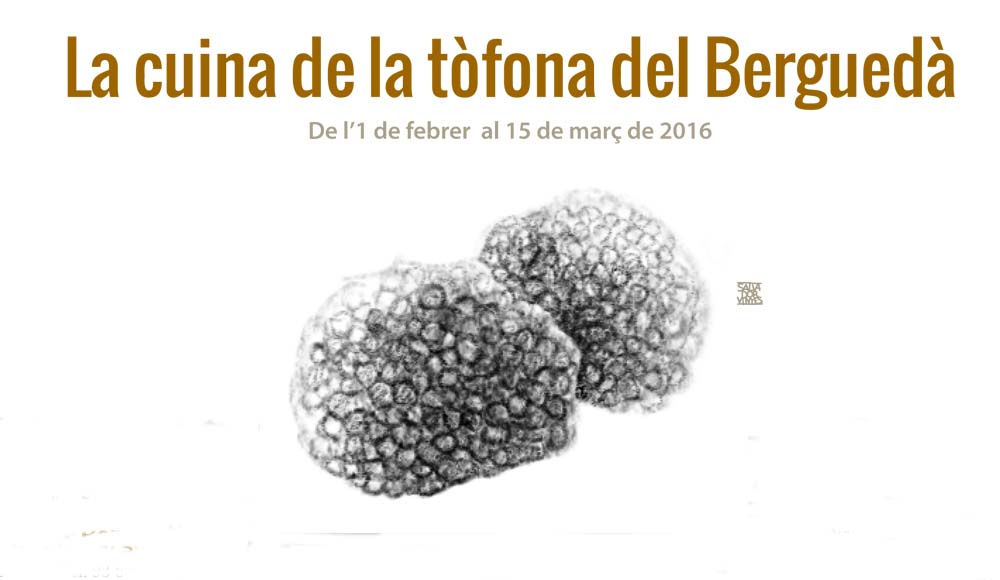 Cuina Tofona2016