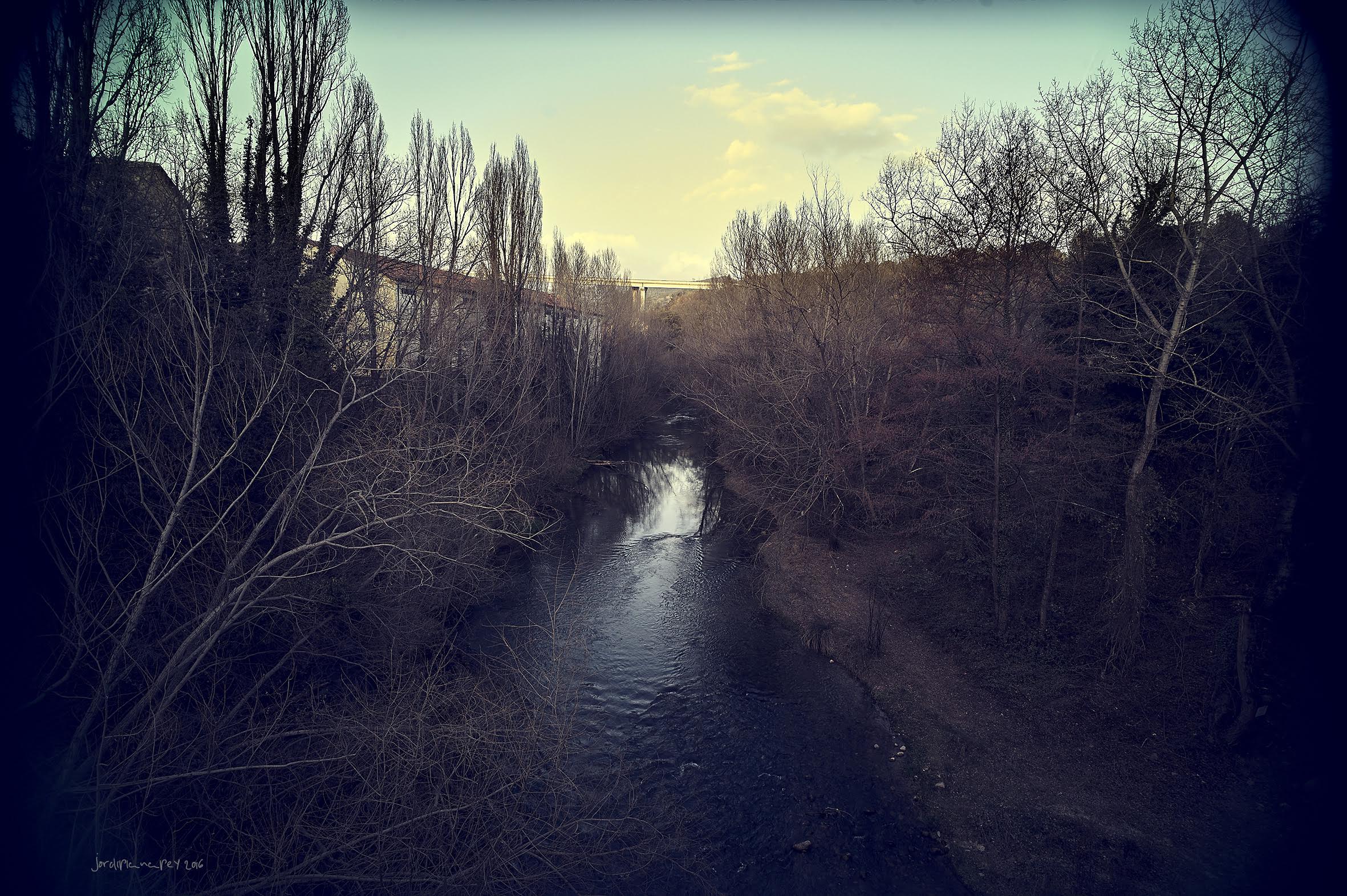 llera 2016d