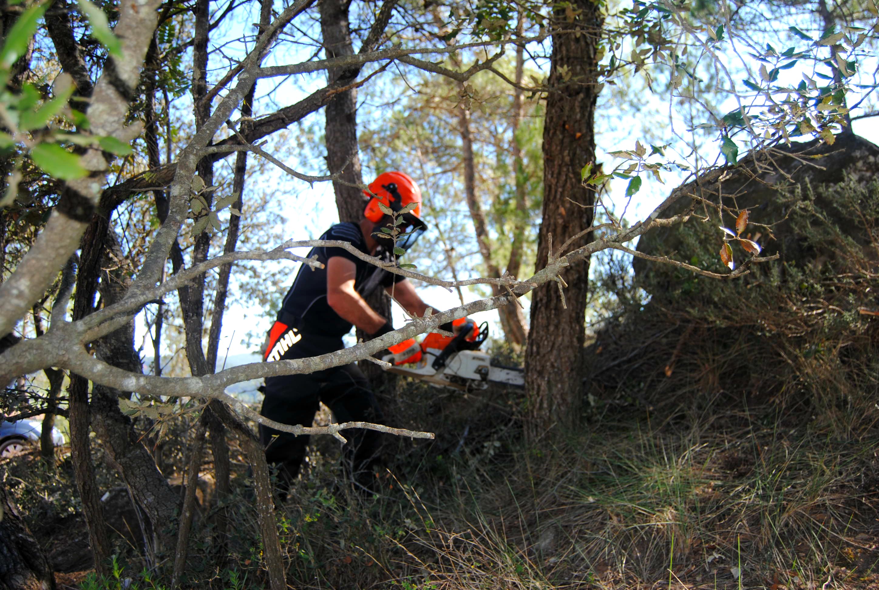 sector-forestal-3_39151954441_o