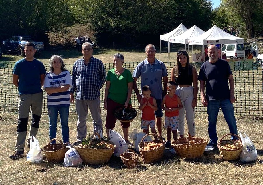 boletaires23