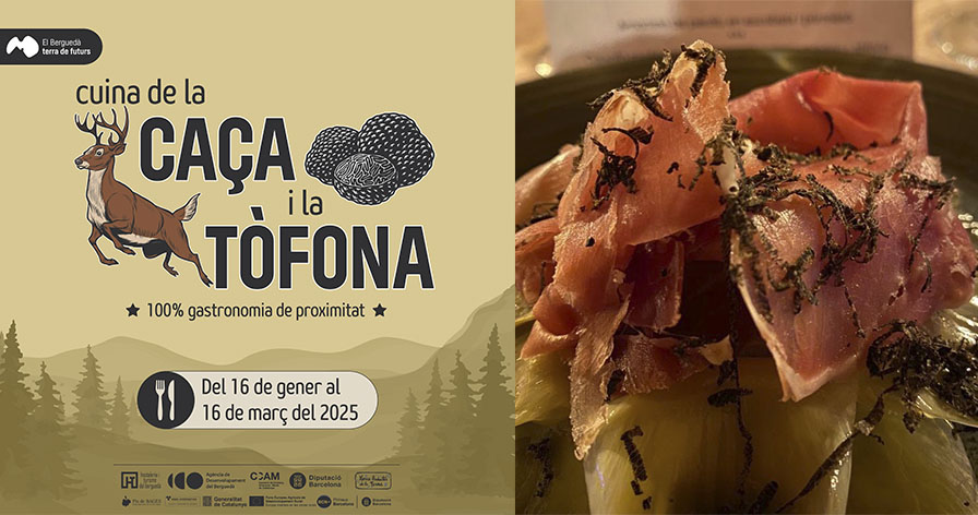 PORTcaçaitofona25