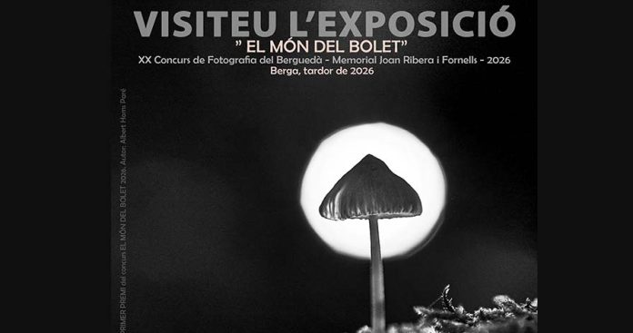 PORTexpobolets